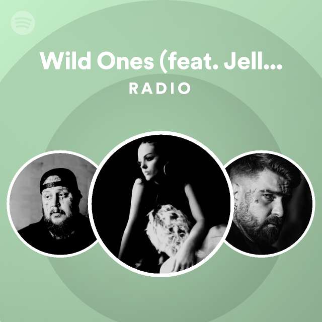 Wild Ones Feat Jelly Roll Extended Version Radio Playlist By