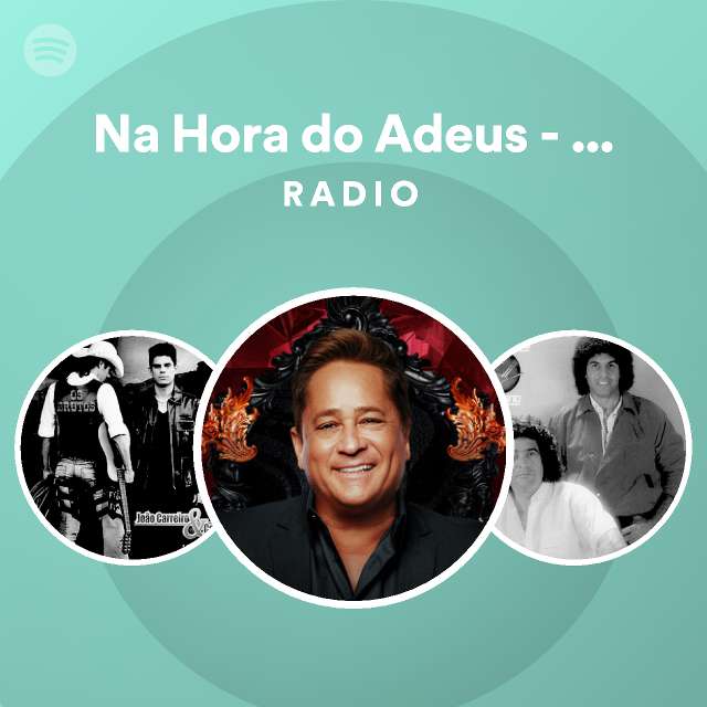 Na Hora Do Adeus Ao Vivo Radio Spotify Playlist