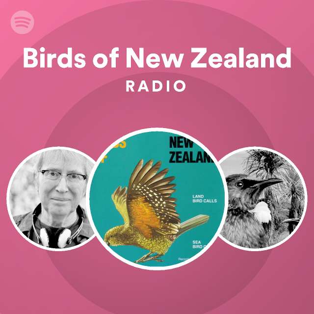 Pink Eagles -   New Zealand