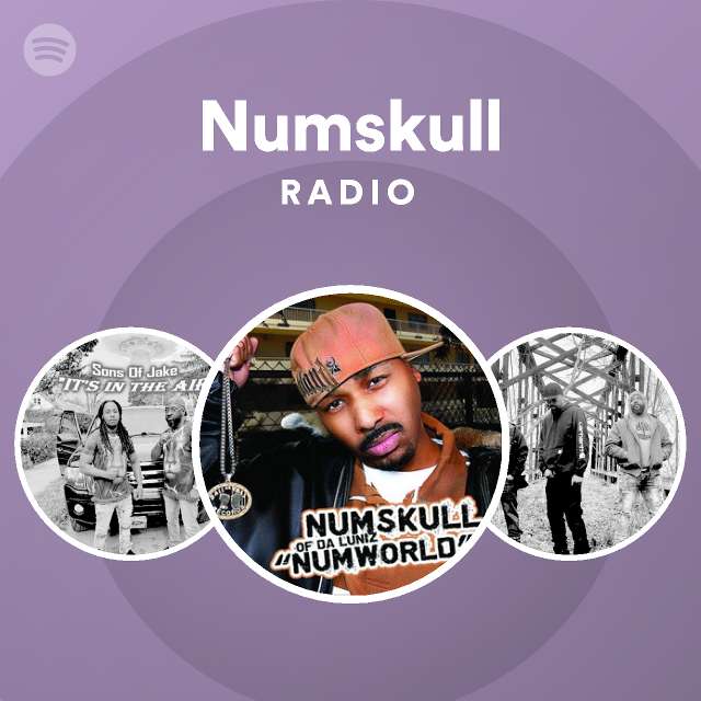 numskull-spotify