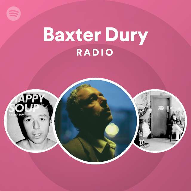 Baxter Dury Spotify