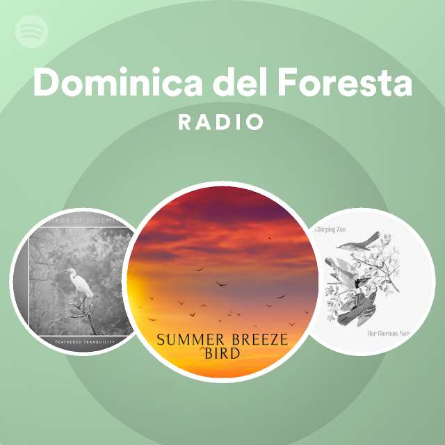 Dominica del Foresta - playlist by |