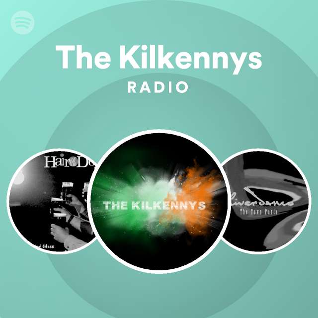 The Kilkennys Spotify
