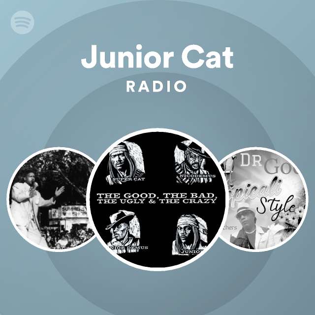 Junior Cat | Spotify