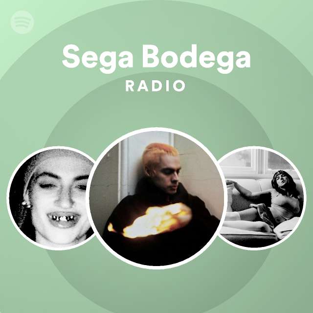 Sega bodega кто это