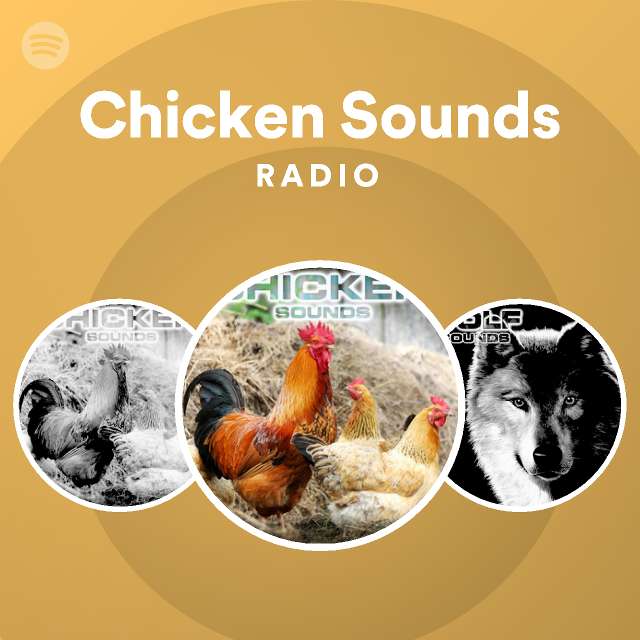 Chicken Sounds Radio on Spotify