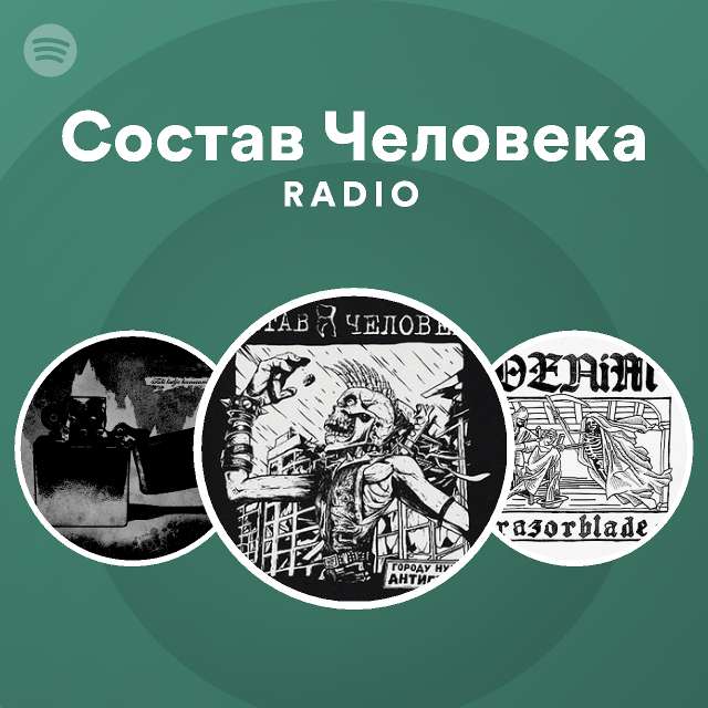 Состав Человека Фото