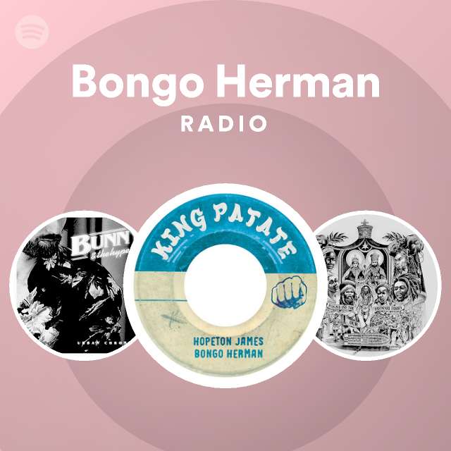 Bongo herman