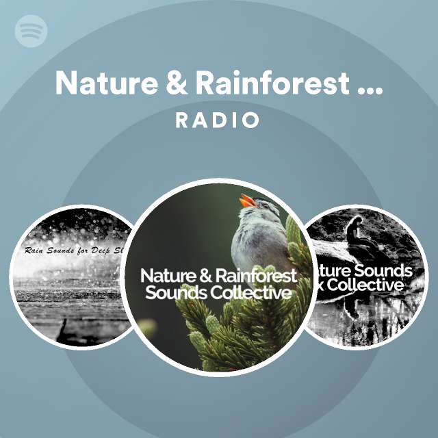 Nature & Rainforest Sounds Collective Radio - playlist by Spotify | Spotify