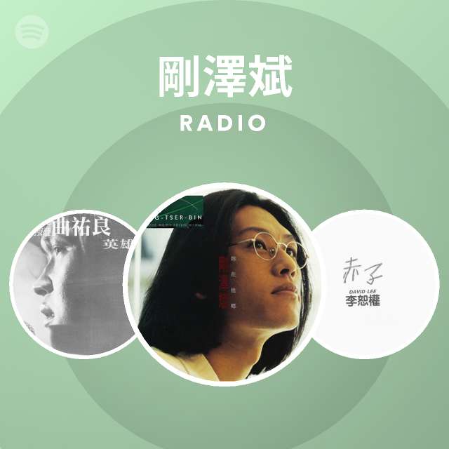 剛澤斌radio Spotify Playlist