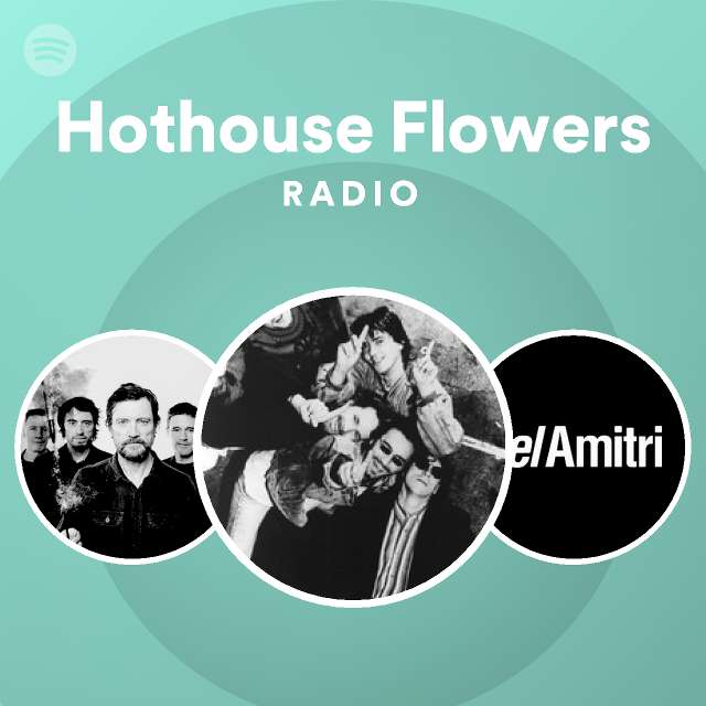 Let's Do This Thing Hothouse Flowers