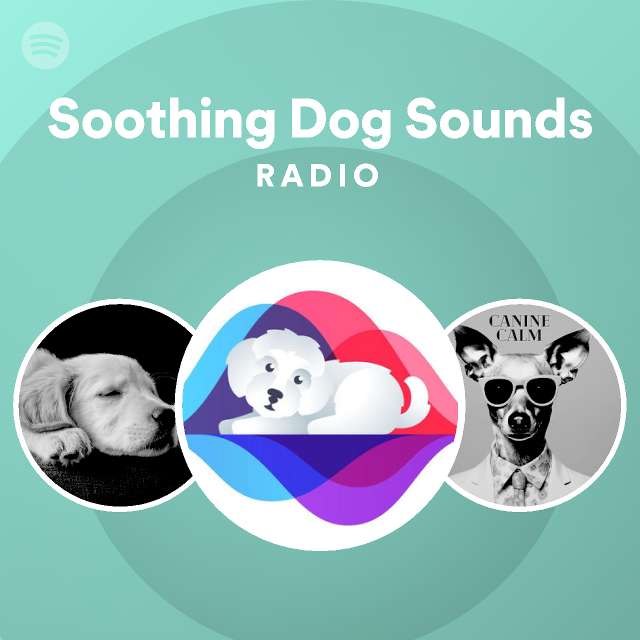 Soothing Dog Sounds Radio | Spotify Playlist