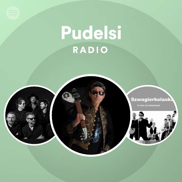 Pudelsi | Spotify