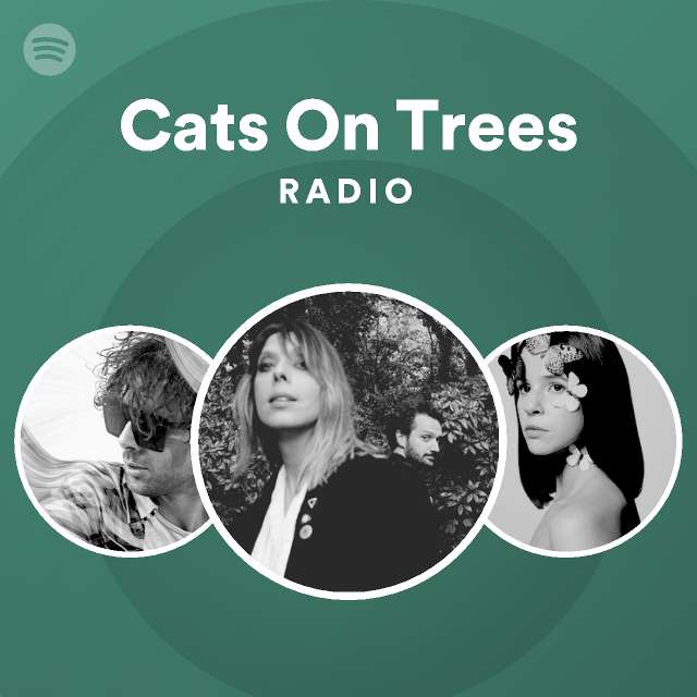Cats On Trees Calogero Jimmy Lyrics