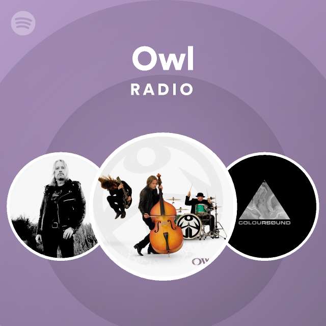 Owl | Spotify