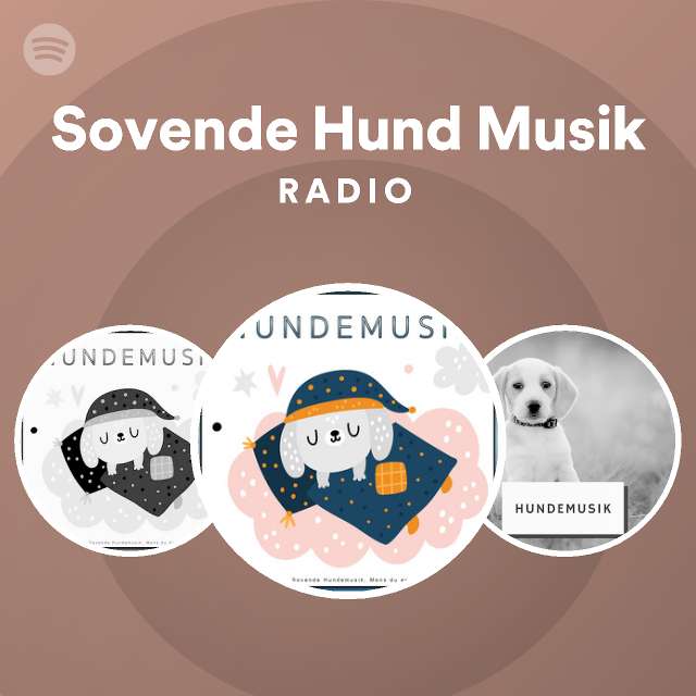 Sovende Musik Radio on Spotify