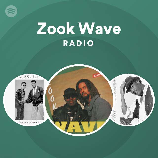 Zook wave radio playlist by spotify spotify