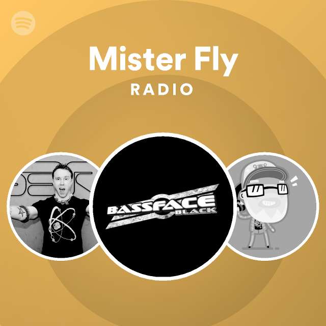 Mister Fly Radio Spotify Playlist