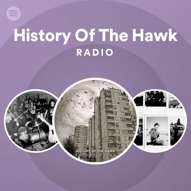 History of the hawk radio playlist by spotify spotify