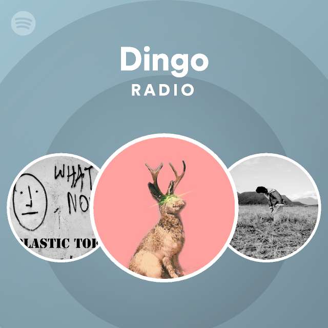 Dingo Radio - playlist by Spotify | Spotify