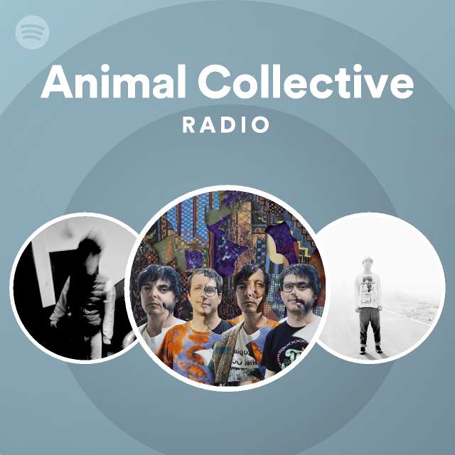 Animal Collective | Spotify