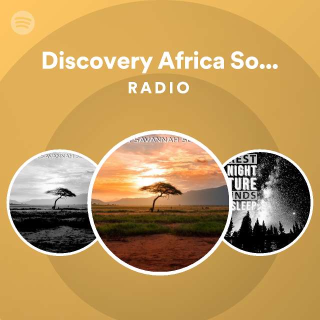 Discovery Africa Soundscapes Radio on Spotify