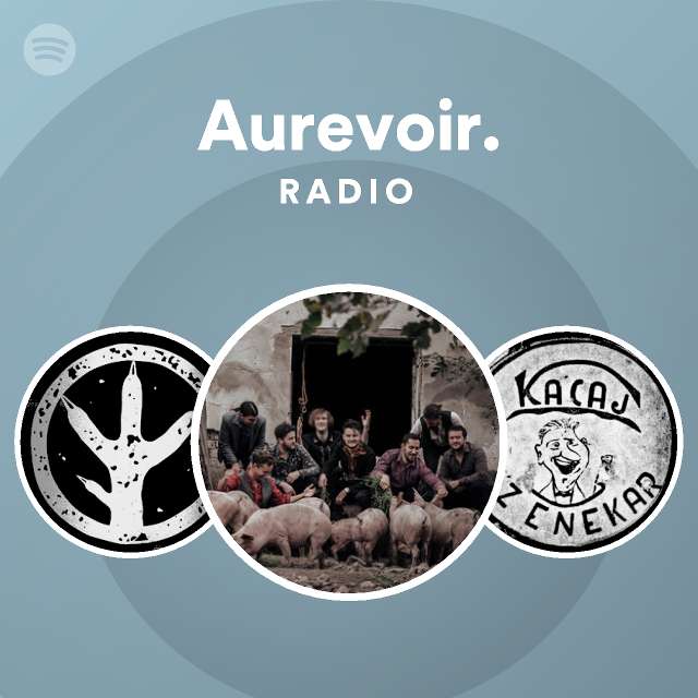 Aurevoir Spotify