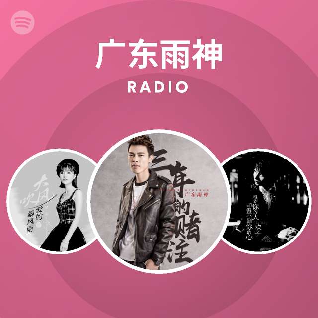 广东雨神radio Spotify Playlist