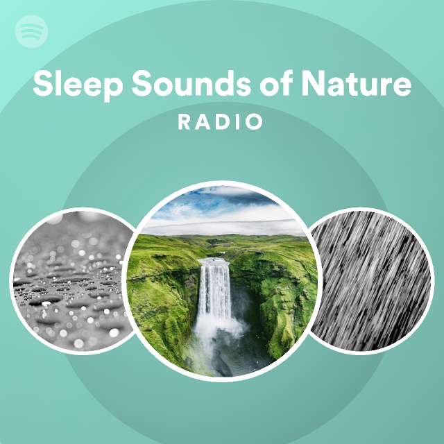 Sleep Sounds Of Nature On Spotify