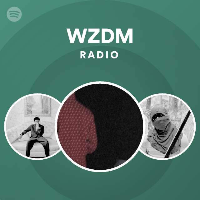 Wzdm radio spotify playlist
