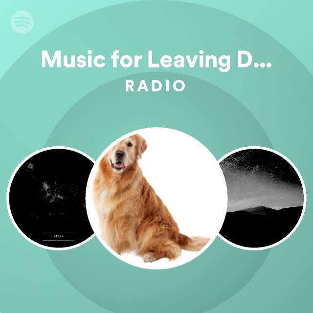 do dogs like music when left alone