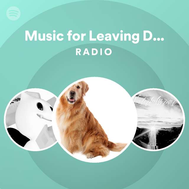 does leaving radio help dogs