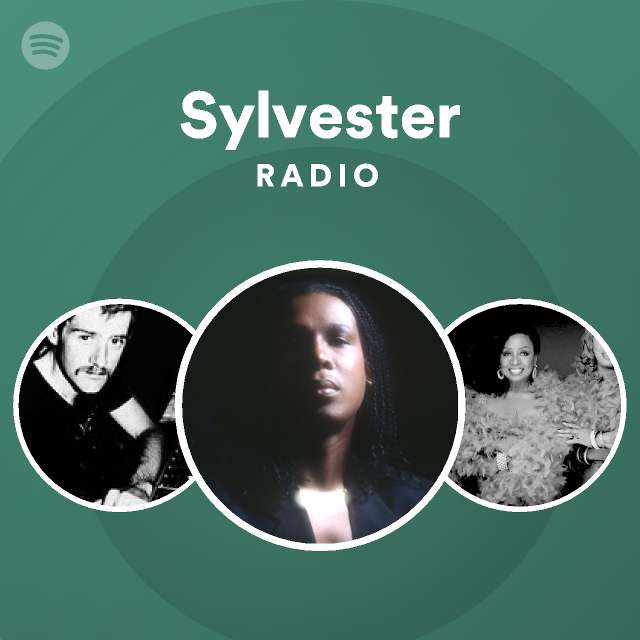 Sylvester Dance Disco Heat Louie Vega Re Touch Main Mix