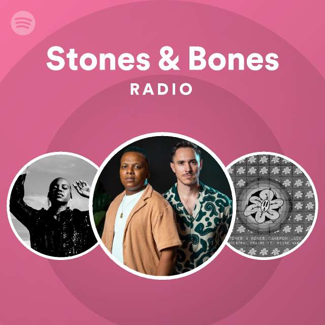 Stones Bones Spotify