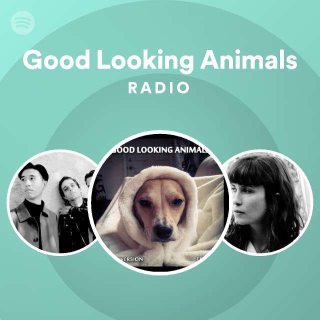Good Looking Animals Radio - playlist by Spotify | Spotify