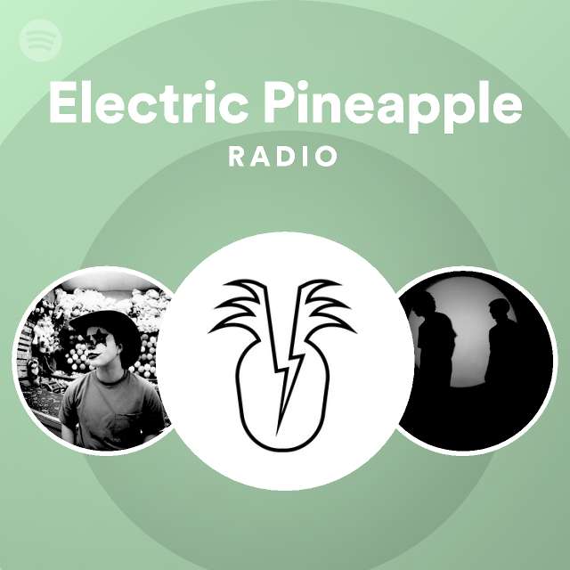 Electric Pineapple Songs, Albums and Playlists Spotify