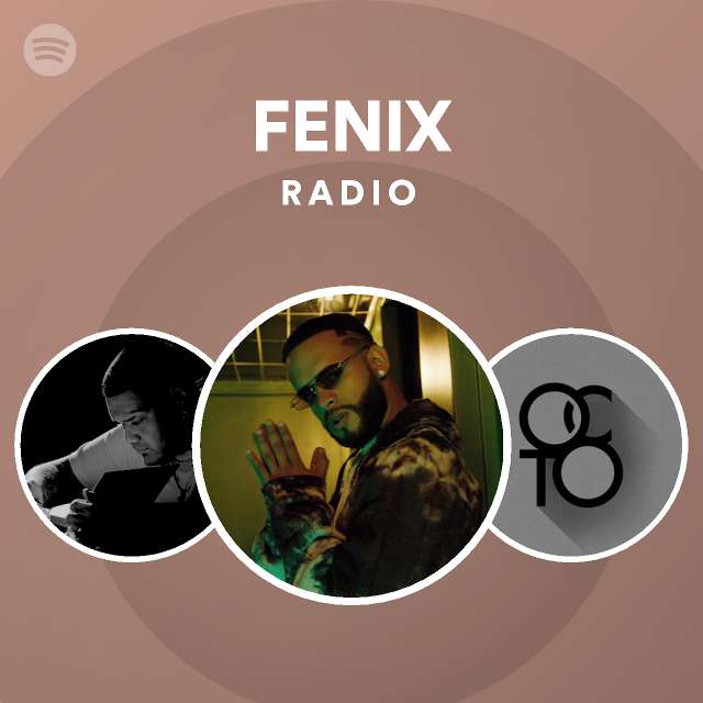 spotify on fenix 6