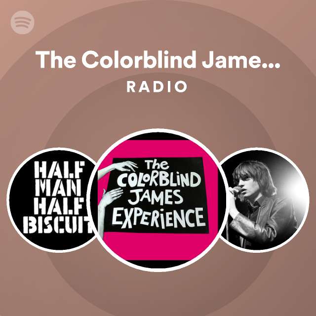 The Colorblind James Experience Spotify