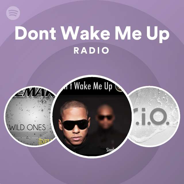 Dont Wake Me Up Spotify