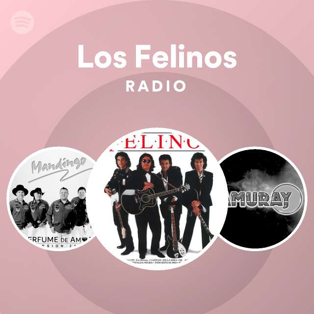 Los Felinos Radio on Spotify