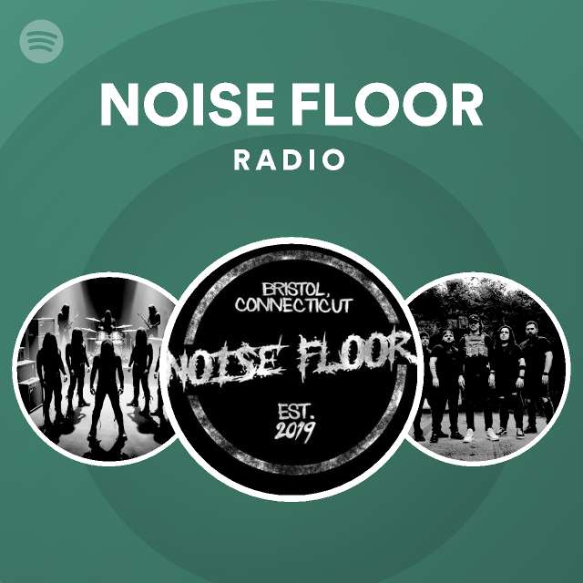 NOISE FLOOR | Spotify