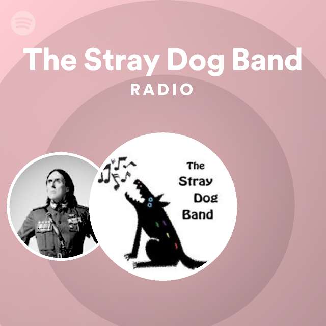 The Stray Dog Band | Spotify
