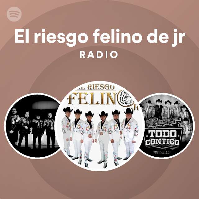 El riesgo felino de jr Radio - playlist by Spotify | Spotify