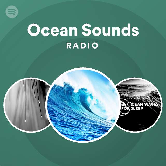 Ocean Sounds Radio - playlist by Spotify | Spotify