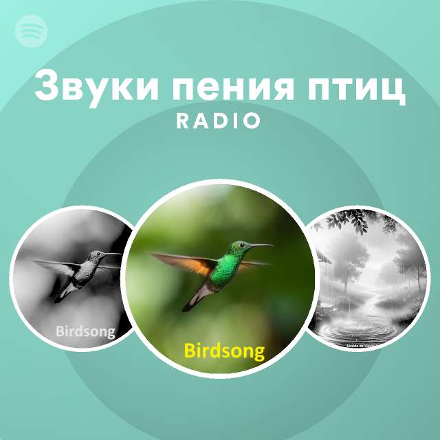 Звуки пения птиц Radio - playlist by Spotify | Spotify