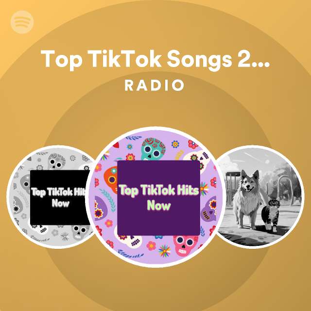 top-tiktok-songs-2023-hiphop-radio-playlist-by-spotify-spotify