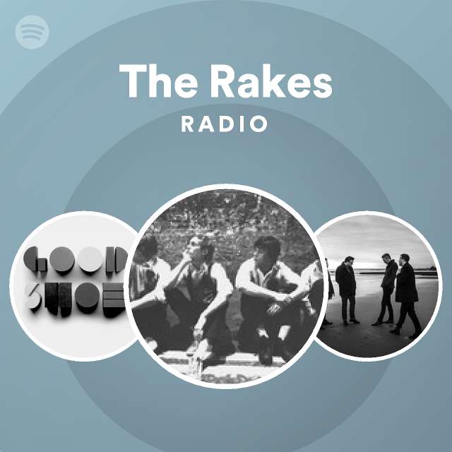 The Rakes Spotify