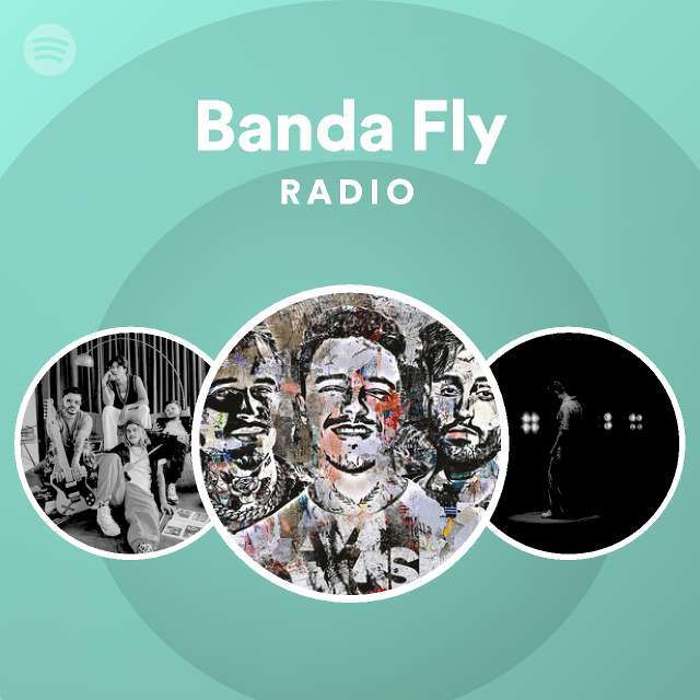 Banda Fly Seus Detalhes