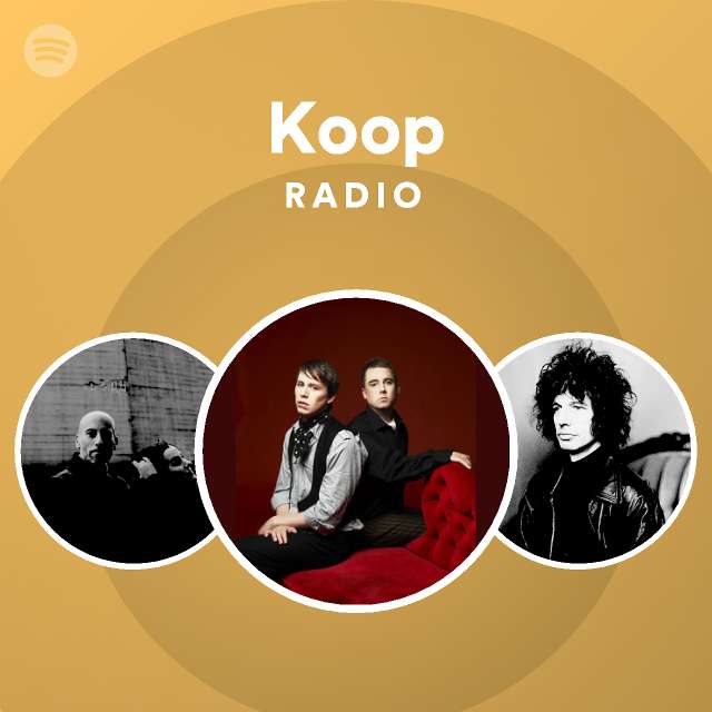 Koop Spotify