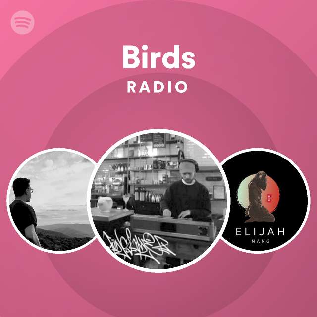 birds of a feather spotify wrapped